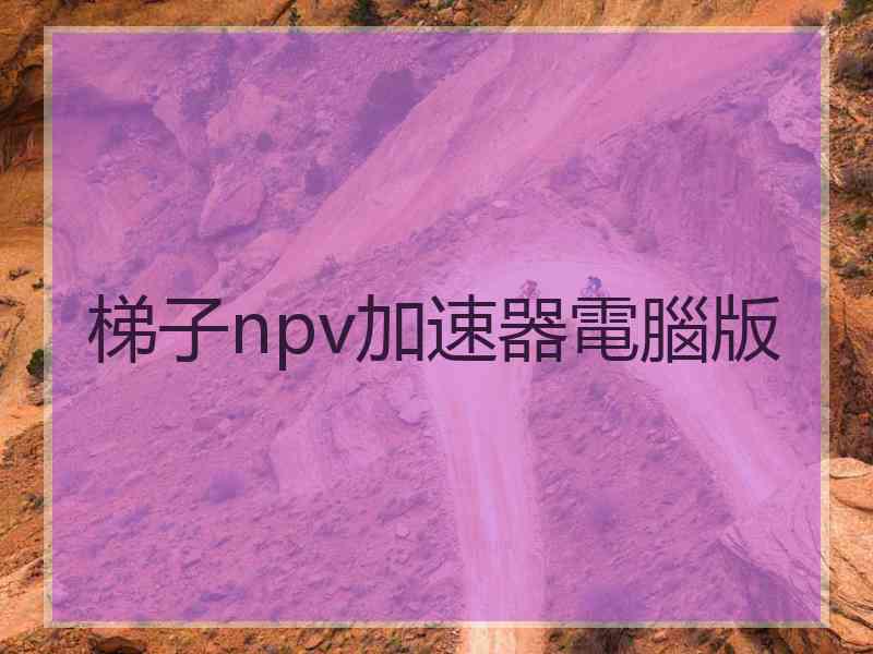 梯子npv加速器電腦版