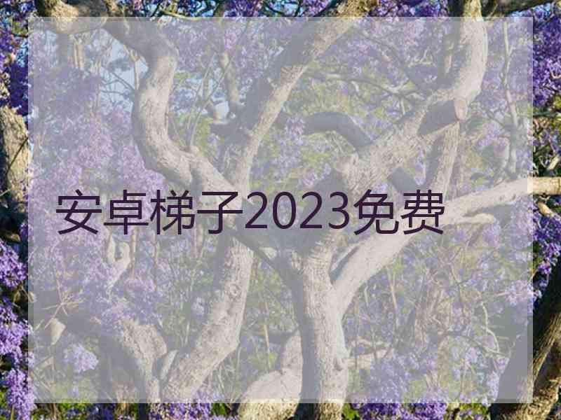 安卓梯子2023免费