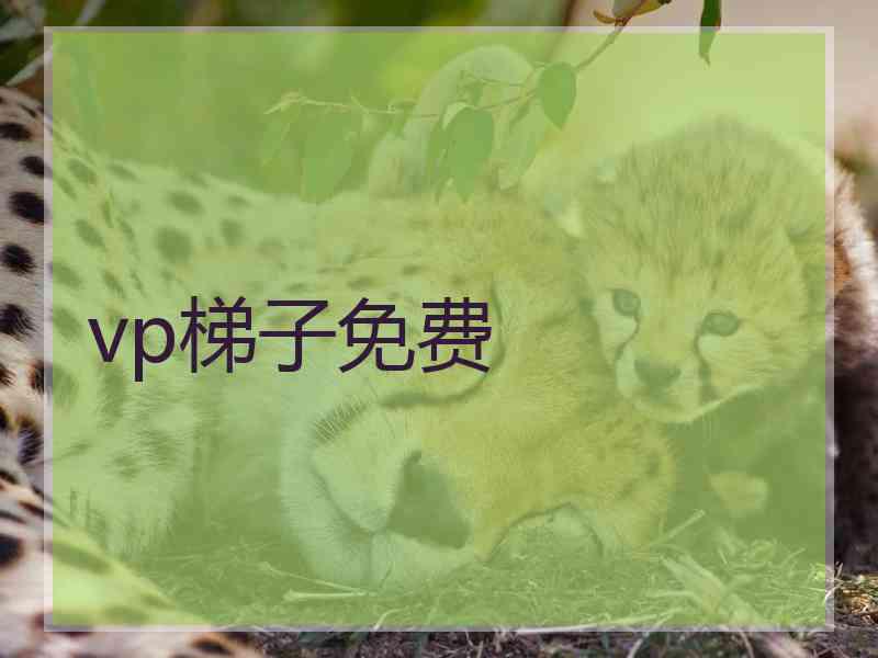 vp梯子免费