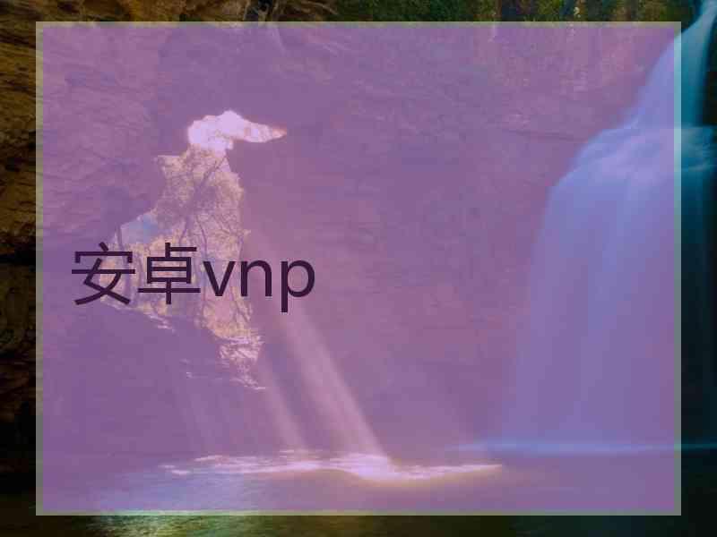 安卓vnp