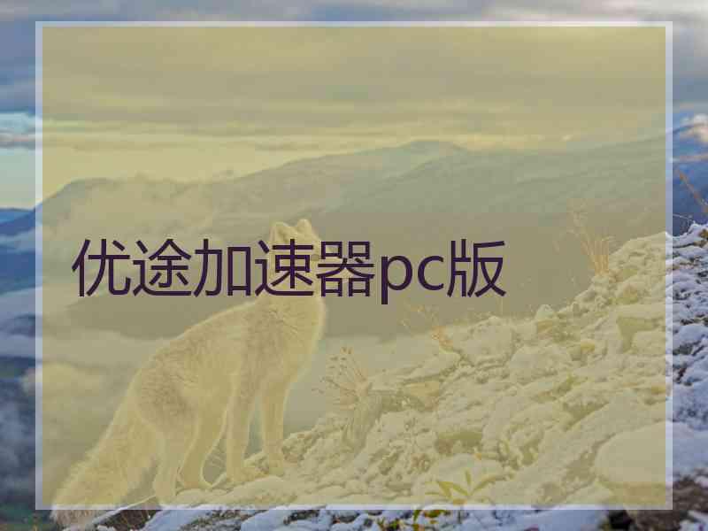 优途加速器pc版