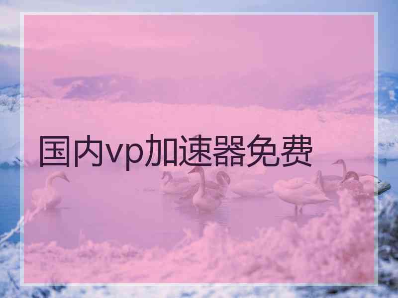 国内vp加速器免费