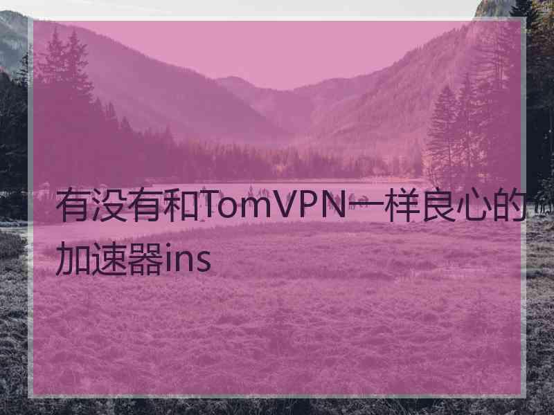 有没有和TomVPN一样良心的加速器ins