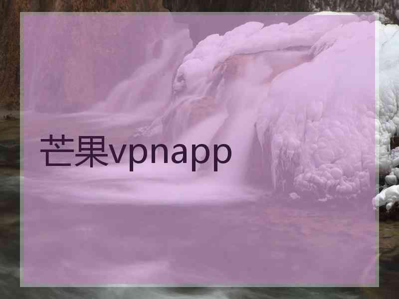 芒果vpnapp