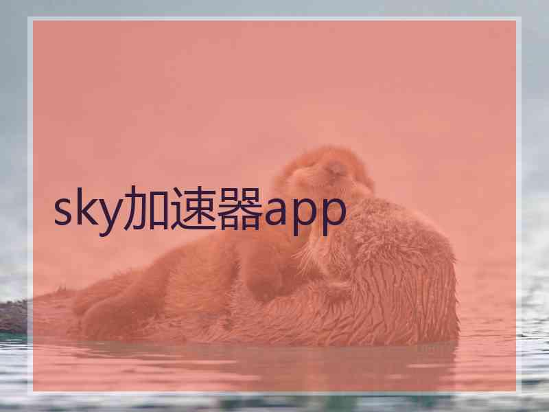 sky加速器app