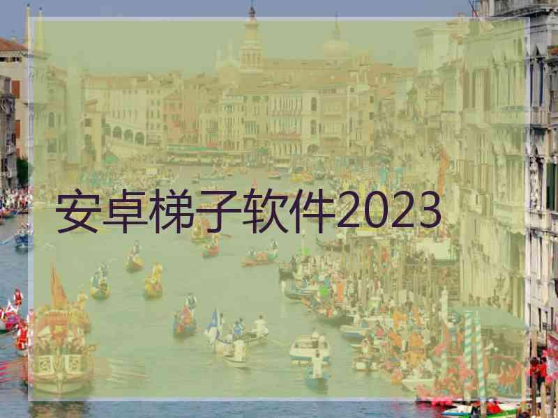 安卓梯子软件2023