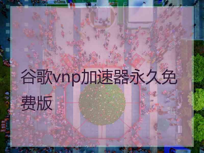 谷歌vnp加速器永久免费版