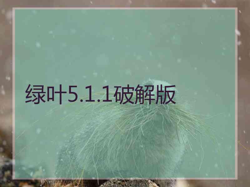 绿叶5.1.1破解版