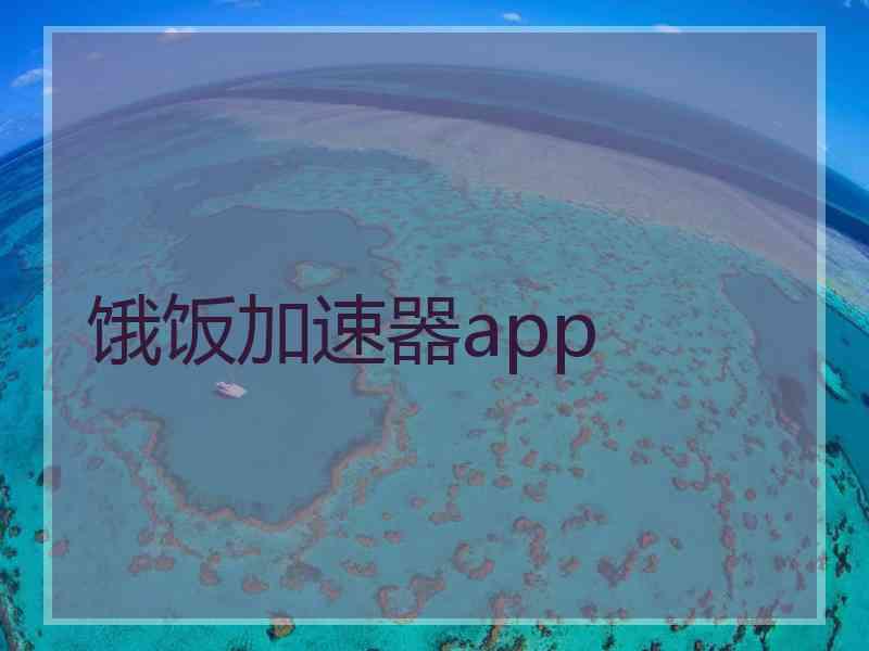 饿饭加速器app