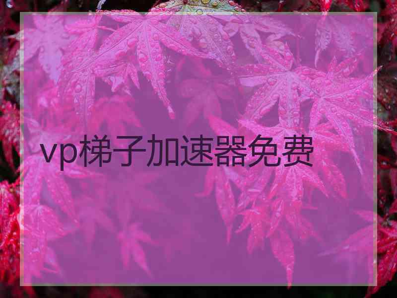 vp梯子加速器免费