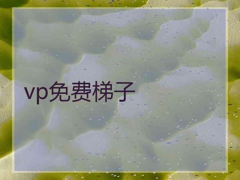 vp免费梯子