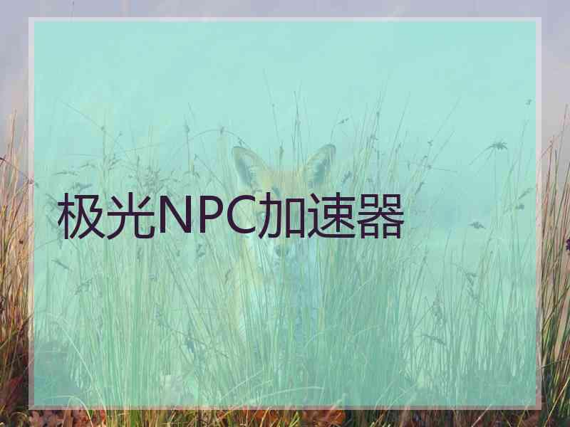 极光NPC加速器