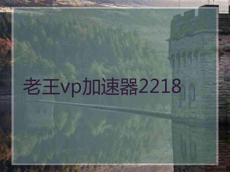 老王vp加速器2218