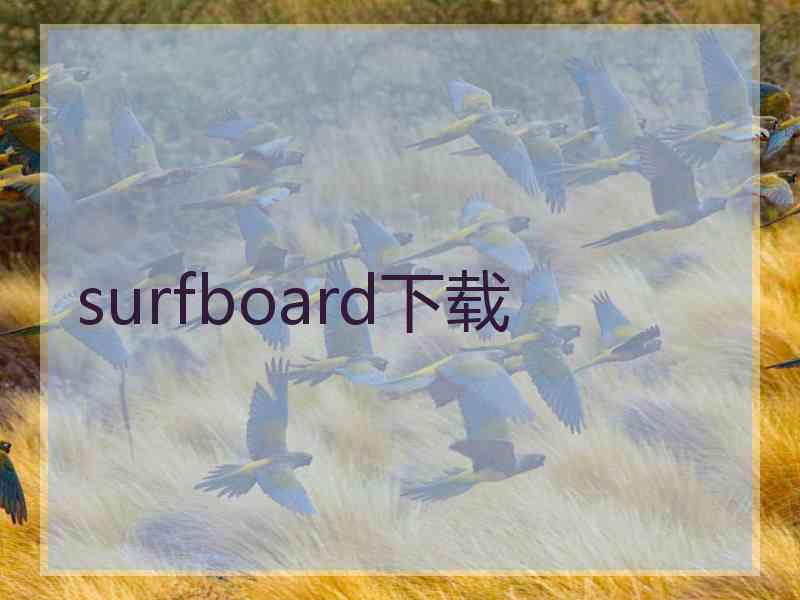 surfboard下载