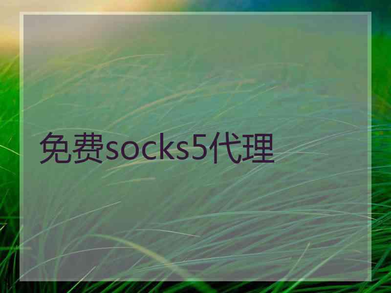 免费socks5代理