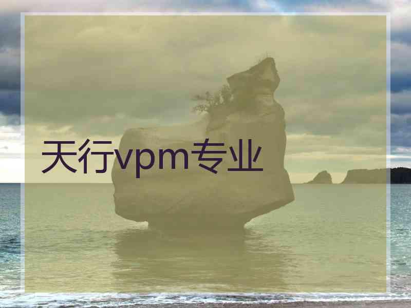 天行vpm专业