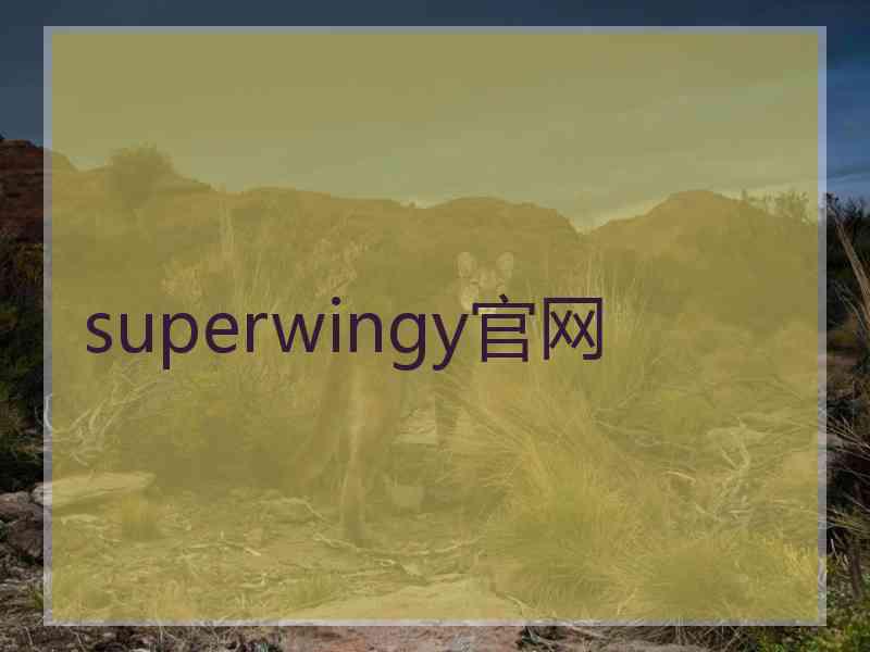 superwingy官网