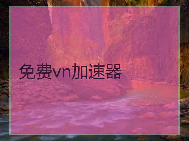 免费vn加速器