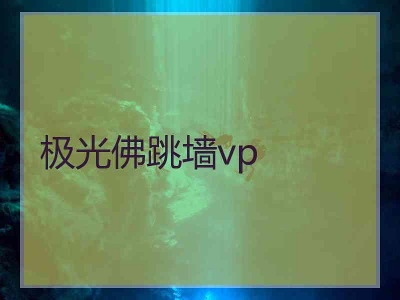 极光佛跳墙vp