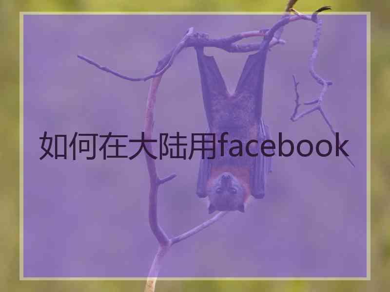 如何在大陆用facebook