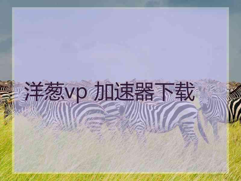 洋葱vp 加速器下载