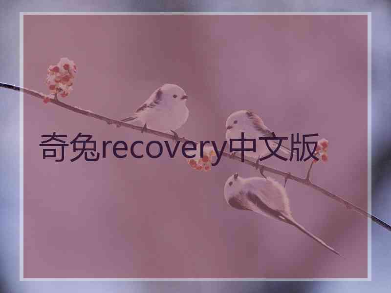 奇兔recovery中文版