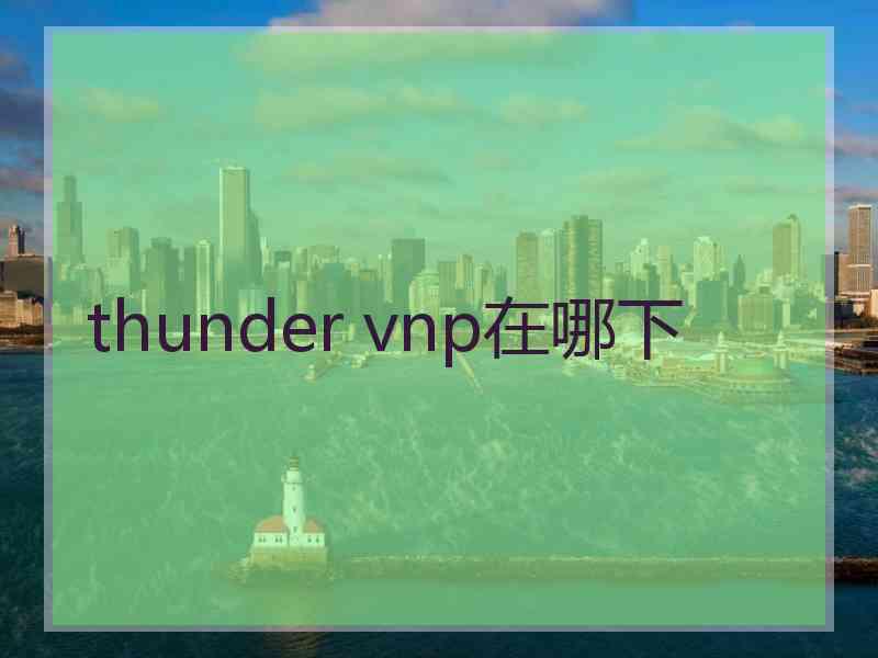 thunder vnp在哪下