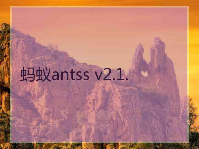 蚂蚁antss v2.1.