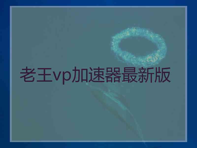 老王vp加速器最新版