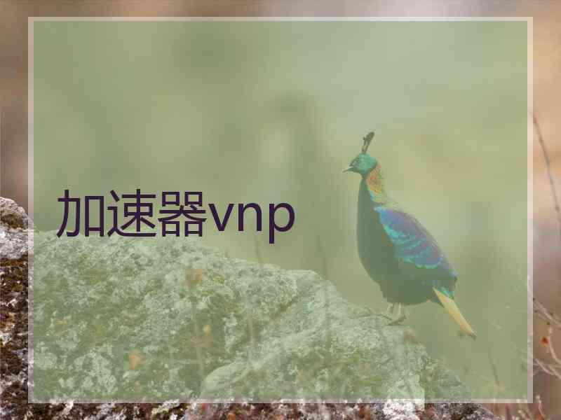 加速器vnp