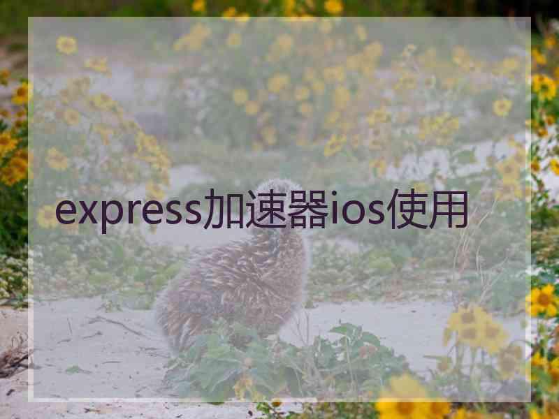 express加速器ios使用