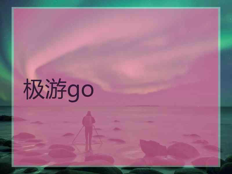 极游go