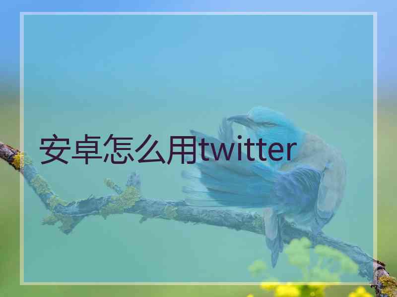 安卓怎么用twitter