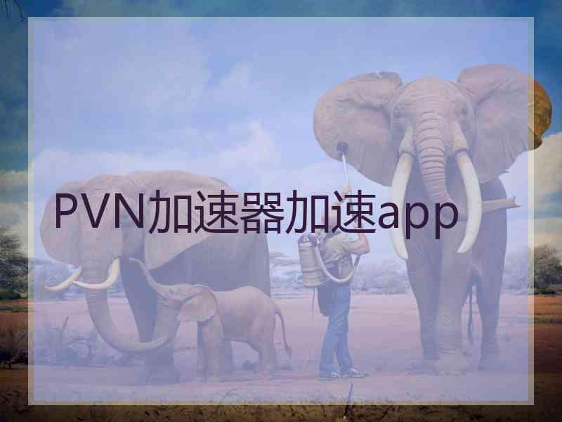 PVN加速器加速app