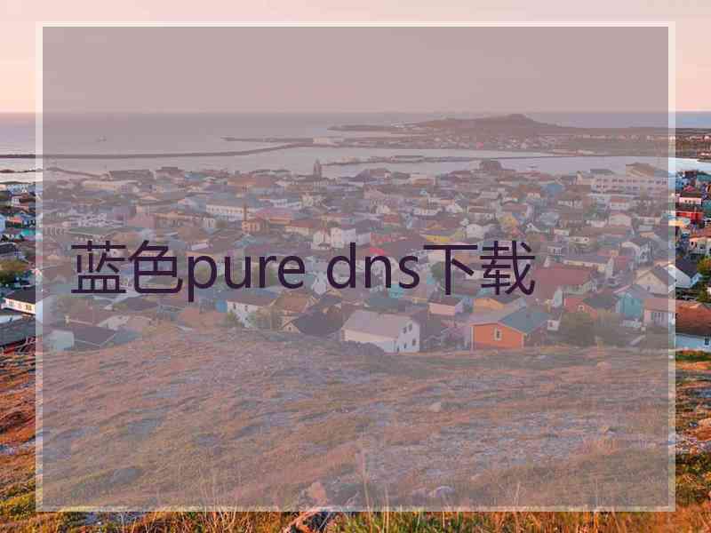 蓝色pure dns下载