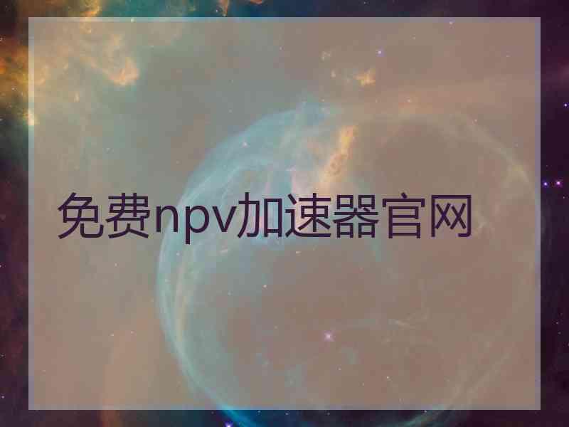 免费npv加速器官网