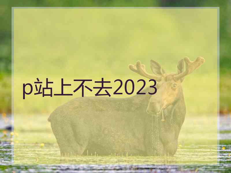 p站上不去2023