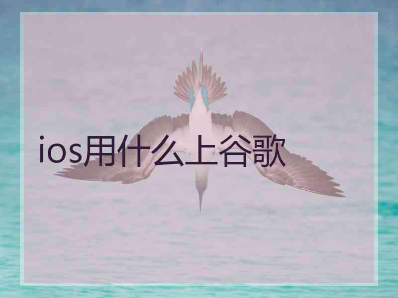 ios用什么上谷歌