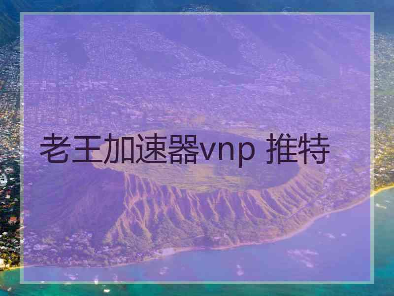 老王加速器vnp 推特