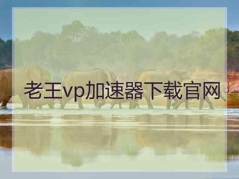 老王vp加速器下载官网