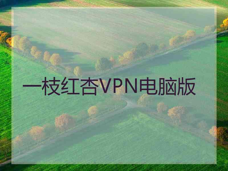 一枝红杏VPN电脑版