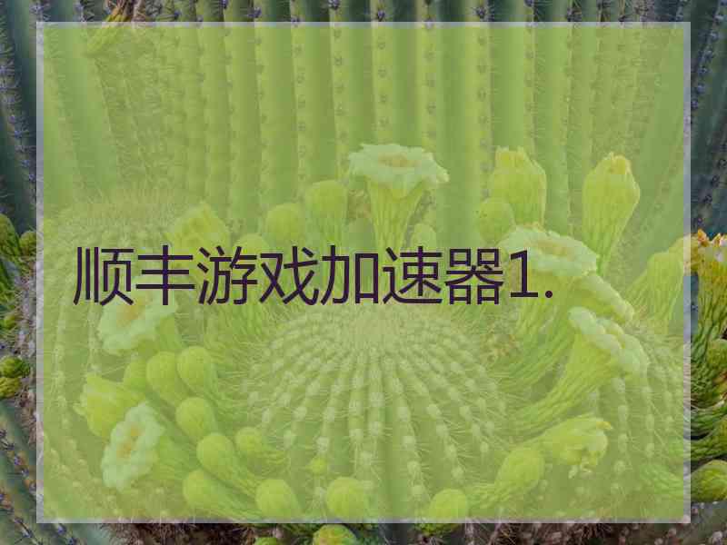 顺丰游戏加速器1.