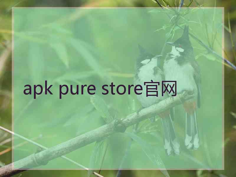 apk pure store官网