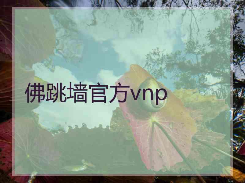 佛跳墙官方vnp