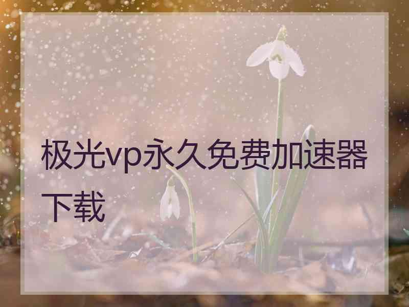 极光vp永久免费加速器下载