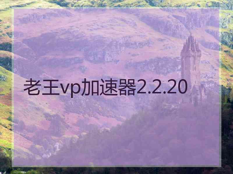 老王vp加速器2.2.20