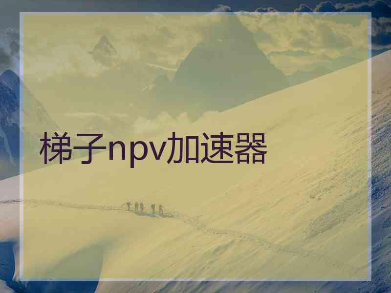 梯子npv加速器