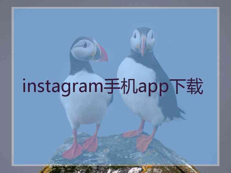 instagram手机app下载