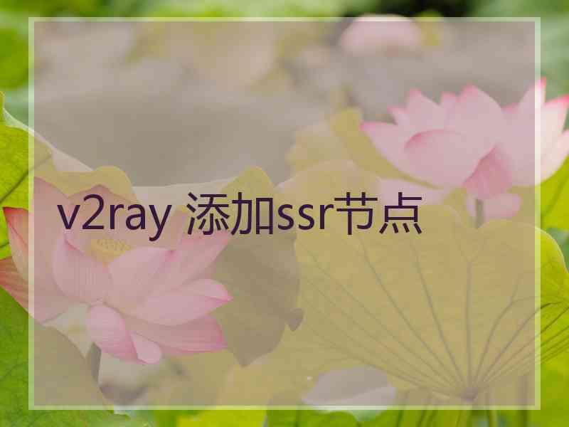 v2ray 添加ssr节点