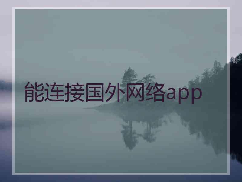 能连接国外网络app